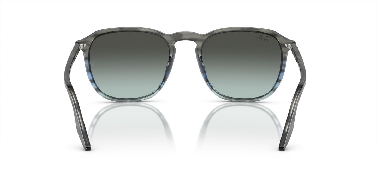 RAYBAN RB 2203 1391/GK