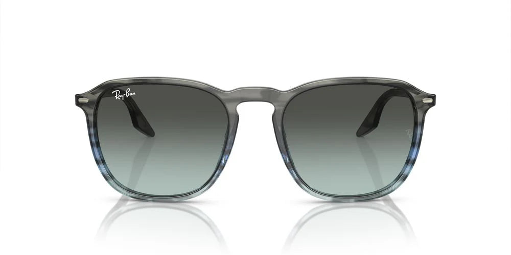 RAYBAN RB 2203 1391/GK