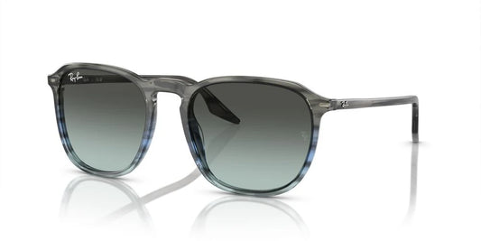 RAYBAN RB 2203 1391/GK